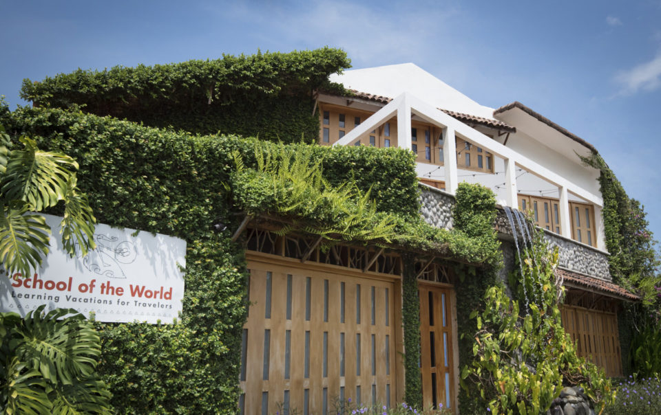 A beautiful photo of the School of the world plant covered entrance