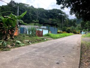 Jungle street in Costa Rica