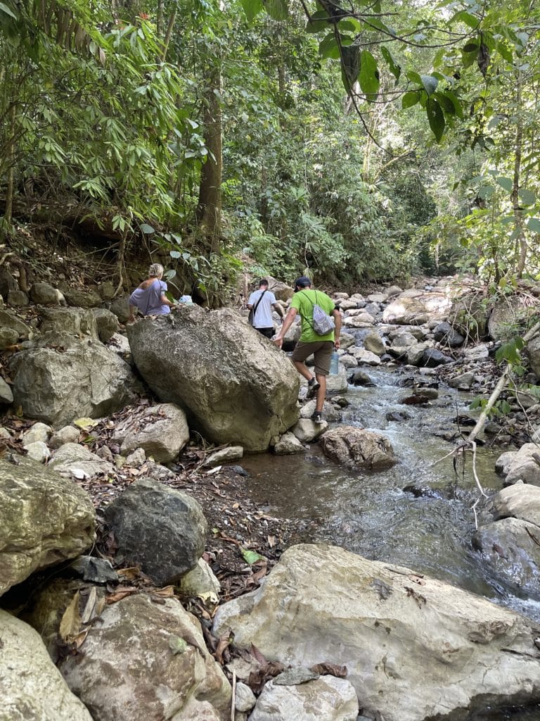 People walking in a river